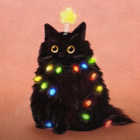 Icône du serveur Les rescapés