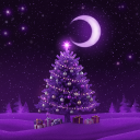 Icône du serveur Trusted Only