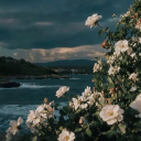 Icône du serveur Religions et spiritualité