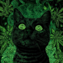 Icône du serveur 💨 Nuages de Ganja 🍃