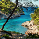 Icône du serveur ••.•´¯`•.••   🎀  𝒴❁𝓊𝓇_𝒫𝓁𝒶𝒸𝑒  🎀   ••.•`¯´•.••