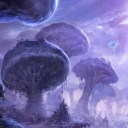 Icône du serveur abyss order