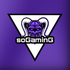 Icône du serveur soGaminG
