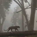 Icône du serveur ᨓ LA TERRE DES ANCIENS — RPG LGDC