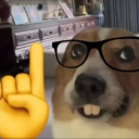 Icône du serveur Serveur de hot