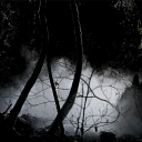 Icône du serveur 𝕄𝕪𝕤𝕥𝕚𝕔 𝔽𝕒𝕝𝕝𝕤 𝔹𝕝𝕠𝕠𝕕𝕝𝕚𝕟𝕖