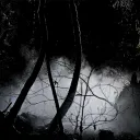 Icône du serveur 𝕄𝕪𝕤𝕥𝕚𝕔 𝔽𝕒𝕝𝕝𝕤 𝔹𝕝𝕠𝕠𝕕𝕝𝕚𝕟𝕖