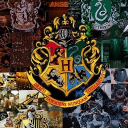 Icône du serveur Serveur rp Hp chill