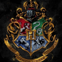 Icône du serveur Serveur rp Hp chill