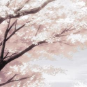 Icône du serveur 𝑁𝑜𝑣𝑎 🇵🇸