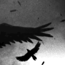 Icône du serveur Clout #CLT