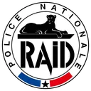 Icône du serveur (RON) Recherche, Assistance, Intervention, Dissuasion