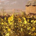 Icône du serveur 𝗦𝘂𝗻𝗳𝗹𝗼𝘄𝗲𝗿 𝗳𝗶𝗲𝗹𝗱 ⋆ ᶥ 🌻 ᐟ