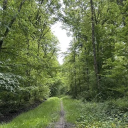 Icône du serveur La Forêt Amboisé