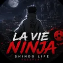 Icône du serveur .·:*¨🌿La vie ninja 🌌¨*:·.