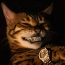 Icône du serveur SolaarLand