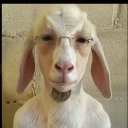 Icône du serveur uber tech