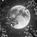 Icône du serveur Eclipse 🌑