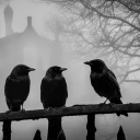 Icône du serveur PHANTOM