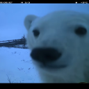 Icône du serveur FS/ FREE STREAMING