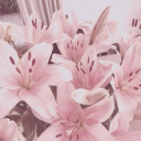 Icône du serveur 𝒱𝒶𝓁𝓎𝓈🌸