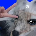 Icône du serveur 💙La Dynastie Des Alter-Humain