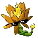 Icône du serveur PVZ: fusion