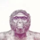 Icône du serveur TITOO