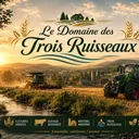 Icône du serveur 🌾 𝓛𝓮 𝓓𝓸𝓶𝓪𝓲𝓷𝓮 𝓭𝓮𝓼 𝓣𝓻𝓸𝓲𝓼 𝓡𝓾𝓲𝓼𝓼𝓮𝓪𝓾𝔁 🌾