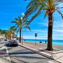 Icône du serveur Riviera #🌴