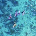 Icône du serveur 🌀 𝐀𝐕𝐀𝐍𝐓𝐀𝐑𝐈𝐀 🌀