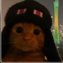 Icône du serveur Minecraft fr