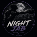 Icône du serveur Night Jab