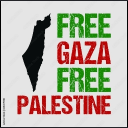 Icône du serveur Free GAZA 🇵🇸 ❤