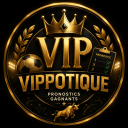 Icône du serveur VIPOTIQUE