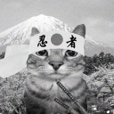 Icône du serveur Konoah