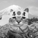Icône du serveur Konoah