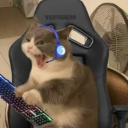 Icône du serveur Gaming-team