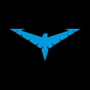Icône du serveur NightWing