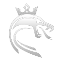 Icône du serveur Cobra.xyz