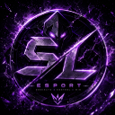 Icône du serveur SL | esport