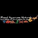 Icône du serveur Pascal Aquariums Naturels