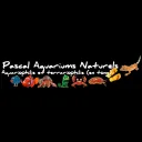 Icône du serveur Pascal Aquariums Naturels