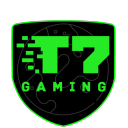 Icône du serveur Terrasparks 7