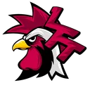 Icône du serveur LaFrenchTeam