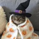 Icône du serveur Bons Copains 🎃