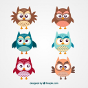 Icône du serveur The World of Owls