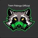 Icône du serveur Palorga-Team