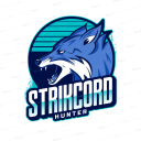 Icône du serveur strikcord