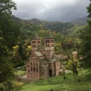 Icône du serveur arbroricore
